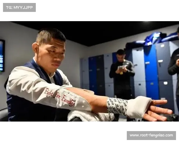 UFC拓展全球市场，未来计划覆盖日本与瑞典等国家