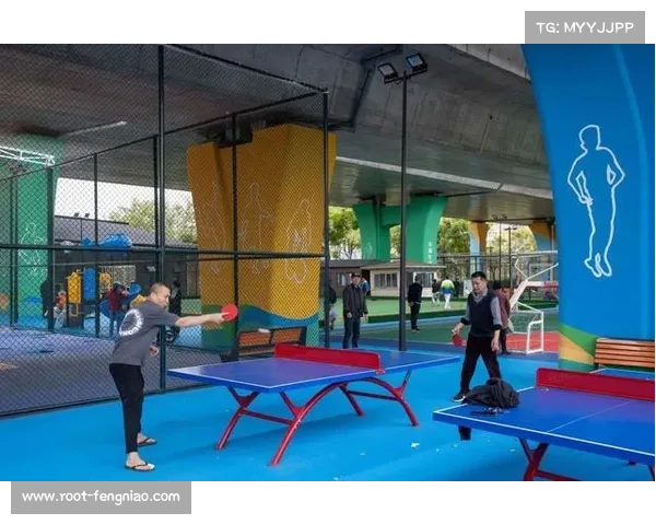 杭州篮球公园位于高架桥下，成城市闲置空间改造典范